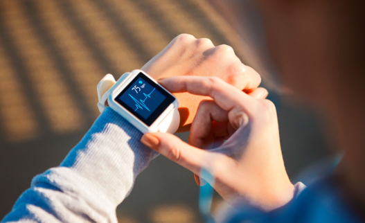 Wearable Integrations